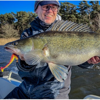 DAIWA Мягкая приманка TN D'Fin 7,5см UV-CC