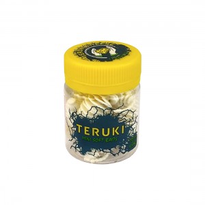 TERUKI Приманка Costa Stretch 65мм сыр 2,3г белый